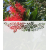 ROS40 70x47 naklejka na okno wzory roślinne - kwiaty i liście